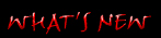 �ŐV���